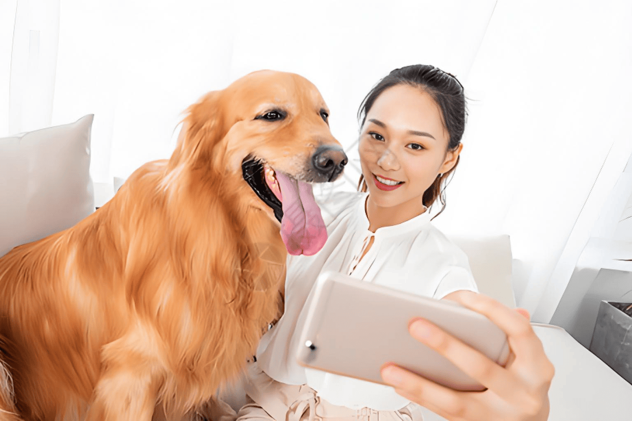 分析：现状、痛点、需求、趋势开元棋牌宠物食品行业产业链(图3)