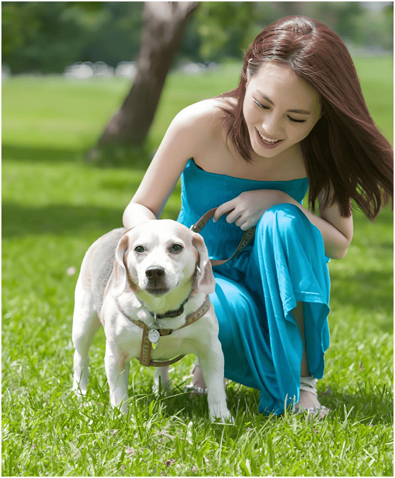分析：现状、痛点、需求、趋势开元棋牌宠物食品行业产业链(图2)