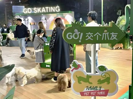 丨宠物坐高铁侯毅下厨房开元棋牌实探派特鲜生(图2)
