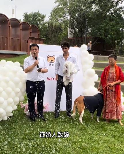 豪车法拉利接亲外国小伙乐坏了开元棋牌富婆给狗办婚礼送豪宅(图8)